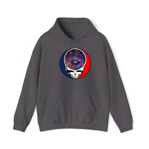 1597 - Custom Stealie Hoodie