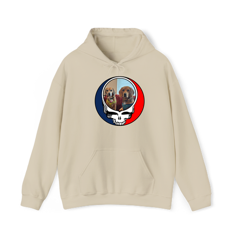 1398 - Custom Stealie Hoodie