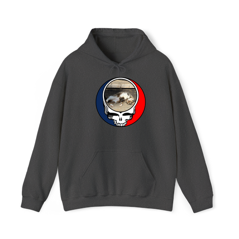 1661 - Custom Stealie Hoodie