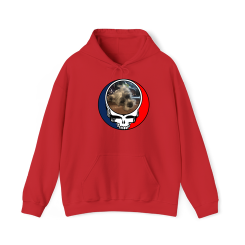 1395 - Custom Stealie Hoodie