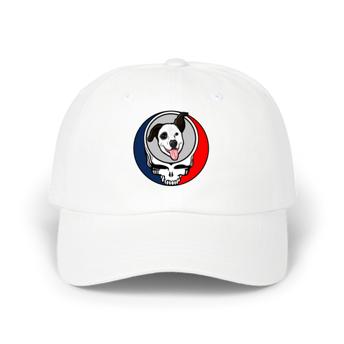 1613 - Custom Stealie Dad Hat