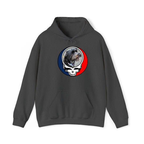 1721 - Custom Stealie Hoodie