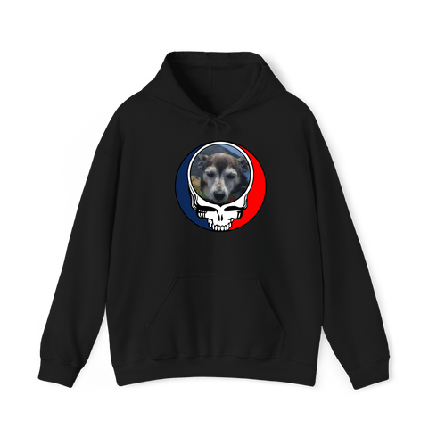 1500 - Custom Stealie Hoodie