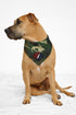 Stealie Pup Grateful Dead Dog Bandana - Fits Most Dogs