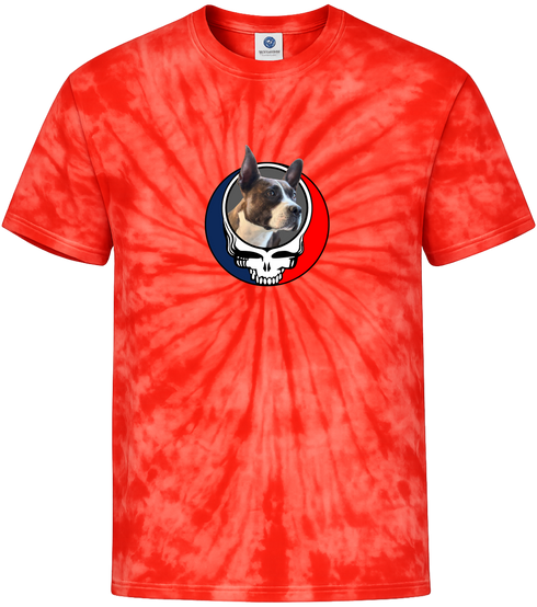 1450 - Custom Stealie Tie-Dye