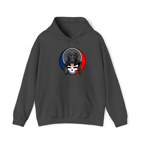 1620 - Custom Stealie Hoodie