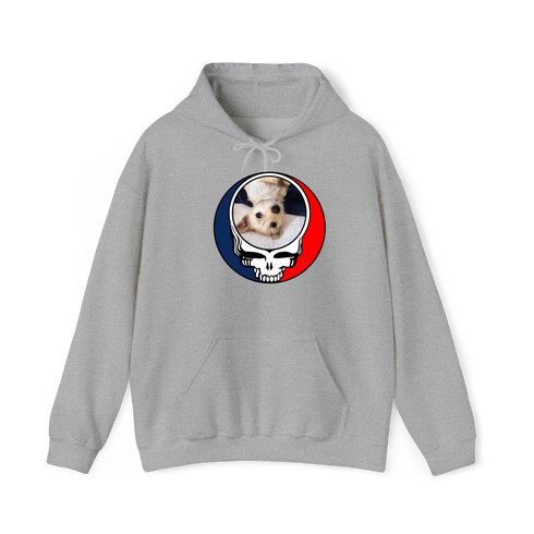 1615 - Custom Stealie Hoodie