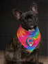 Chicago Cubs Stealie Grateful Dead Dog Bandana - Fits Most Dogs