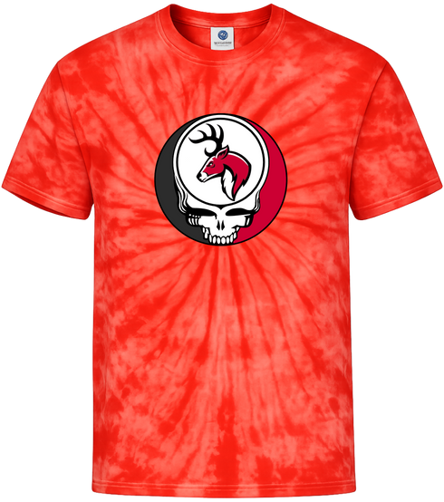 1664 - Custom Stealie Tie-Dye