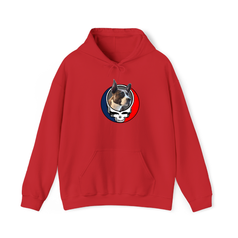 1450 - Custom Stealie Hoodie