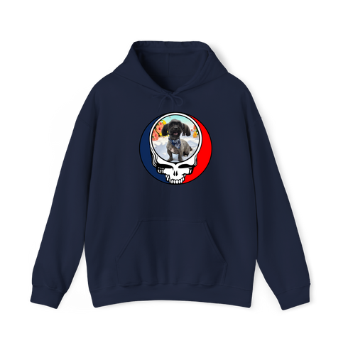 1632 - Custom Stealie Hoodie