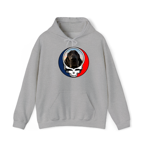 1694 - Custom Stealie Hoodie
