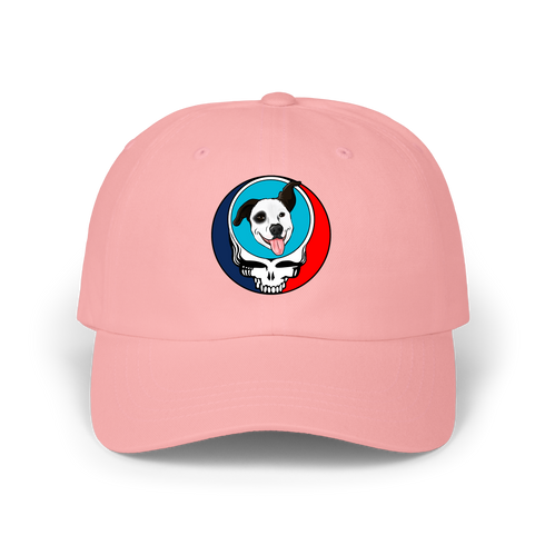 1593 - Custom Stealie Dad Hat