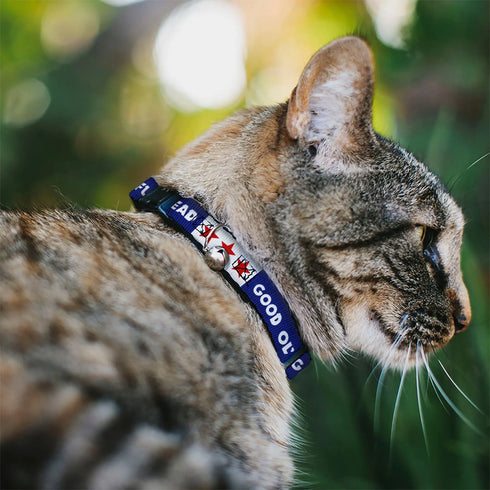 Grateful Dead - Breakaway Cat Collar with Bell - GOOD OL' GRATEFUL DEAD Text and Stars Blue/White/Red - StealieShop