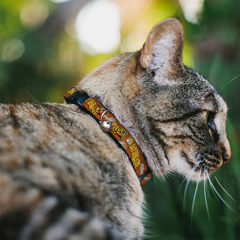 Grateful Dead - Breakaway Cat Collar with Bell - Grateful Dead SUNSHINE DAYDREAM Skeleton Orange - StealieShop