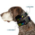 Grateful Dead - Plastic Clip Collar - Grateful Dead Script w/Bears & Skeletons Black/Multi Color - StealieShop