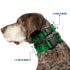 Grateful Dead - Plastic Clip Collar - Grateful Dead Text w/Skull & Roses Green - StealieShop