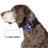 Grateful Dead - Plastic Clip Collar - Steal Your Face Stacked Red/White/Blue - StealieShop