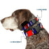 Grateful Dead - Plastic Clip Collar - Steal Your Face w/Lightning Bolt Repeat Red/White/Blue - StealieShop