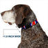 Grateful Dead - Plastic Clip Collar - Steal Your Face w/Lightning Bolt Repeat Red/White/Blue - StealieShop