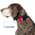 Grateful Dead - Plastic Clip Collar - Steal Your Face w/Lightning Bolt Repeat Red/White/Blue - StealieShop