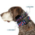 Grateful Dead - Plastic Clip Collar - Grateful Dead Steal Your Face Logo Stacked Red/White/Blue - StealieShop