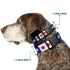 Grateful Dead - Plastic Clip Collar - GOOD OL' GRATEFUL DEAD Text and Stars Blue/White/Red - StealieShop