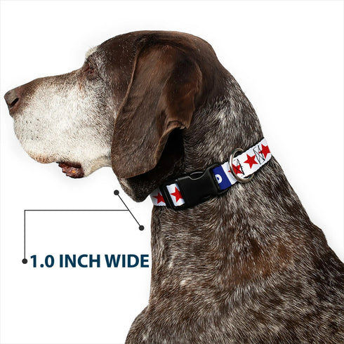 Grateful Dead - Plastic Clip Collar - GOOD OL' GRATEFUL DEAD Text and Stars Blue/White/Red - StealieShop