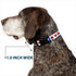 Grateful Dead - Plastic Clip Collar - GOOD OL' GRATEFUL DEAD Text and Stars Blue/White/Red - StealieShop