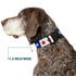Grateful Dead - Plastic Clip Collar - GOOD OL' GRATEFUL DEAD Text and Stars Blue/White/Red - StealieShop