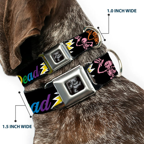 Grateful Dead - Dancing Bear Black/Silver Seatbelt Buckle Collar - Grateful Dead Script w/Bears & Skeletons Black/Multi Color - StealieShop