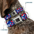 Grateful Dead - Steal Your Face Seatbelt Buckle Collar - Steal Your Face Stacked Red/White/Blue - StealieShop
