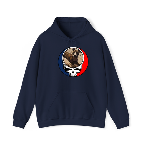 1363 - Custom Stealie Hoodie
