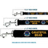 Grateful Dead - Dog Leash - GRATEFUL DEAD Text and Skull and Roses Round Logo Black/Yellow - StealieShop