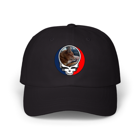 798 - Custom Stealie Dad Hat