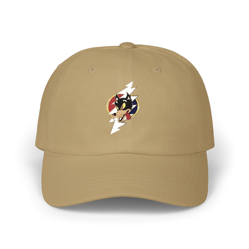 815 - Custom Stealie Dad Hat