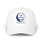 353 - Custom Stealie Dad Hat
