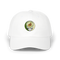 833 - Custom Stealie Dad Hat