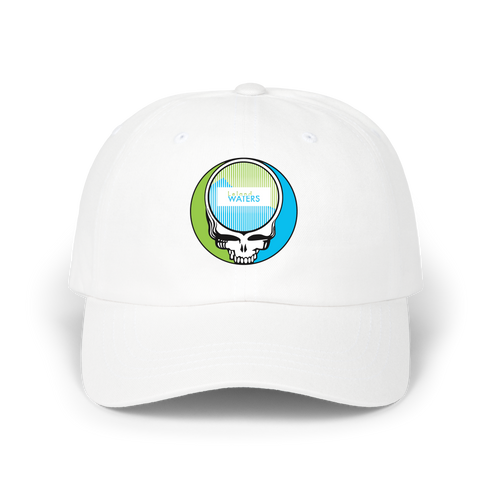 369 - Custom Stealie Dad Hat