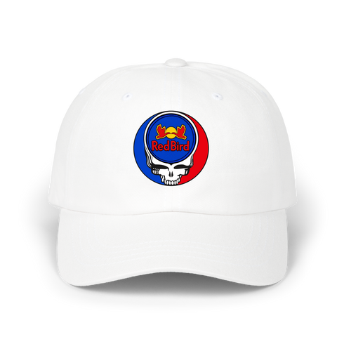 790 - Custom Stealie Dad Hat