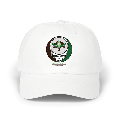 801 - Custom Stealie Dad Hat