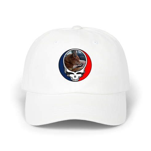 798 - Custom Stealie Dad Hat