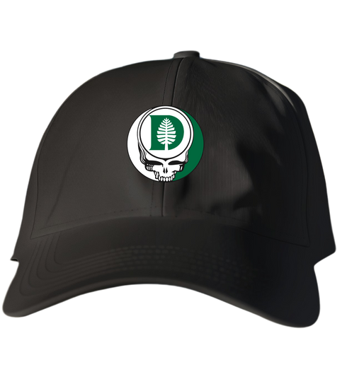 807 - Custom Stealie Dad Hat