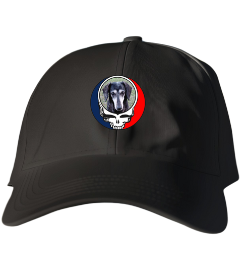 355 - Custom Stealie Dad Hat