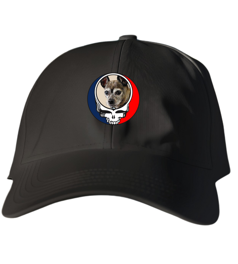 345 - Custom Stealie Dad Hat