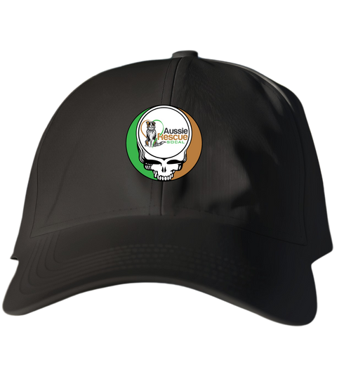 803 - Custom Stealie Dad Hat
