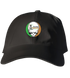 803 - Custom Stealie Dad Hat