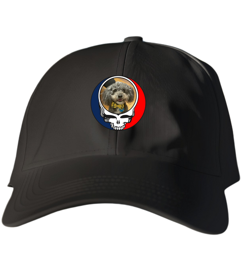 799 - Custom Stealie Dad Hat