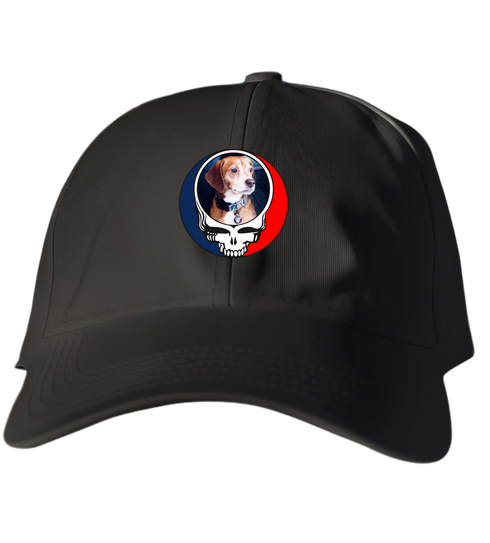 332 - Custom Stealie Dad Hat