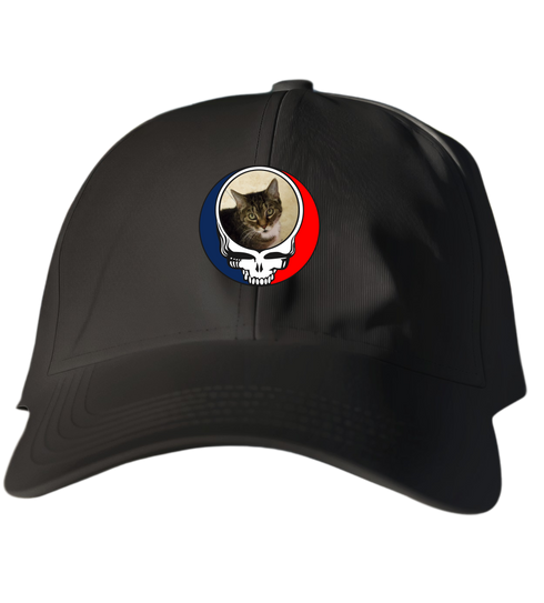 783 - Custom Stealie Dad Hat